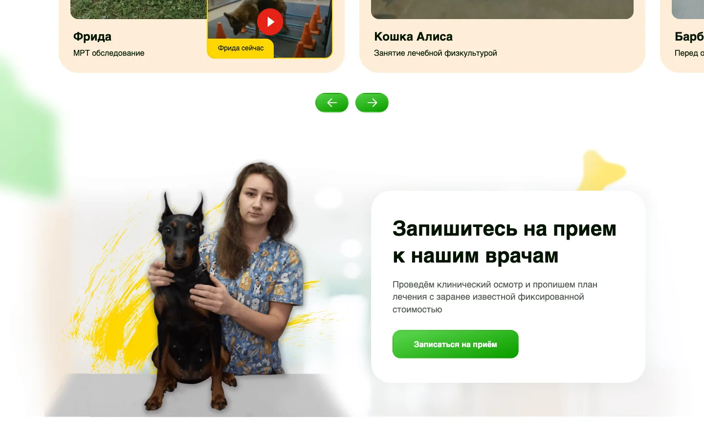 Блок «Запишитесь на приём к нашим врачам» и видео лечения пациентов ветклиники «Магистр-Вет»