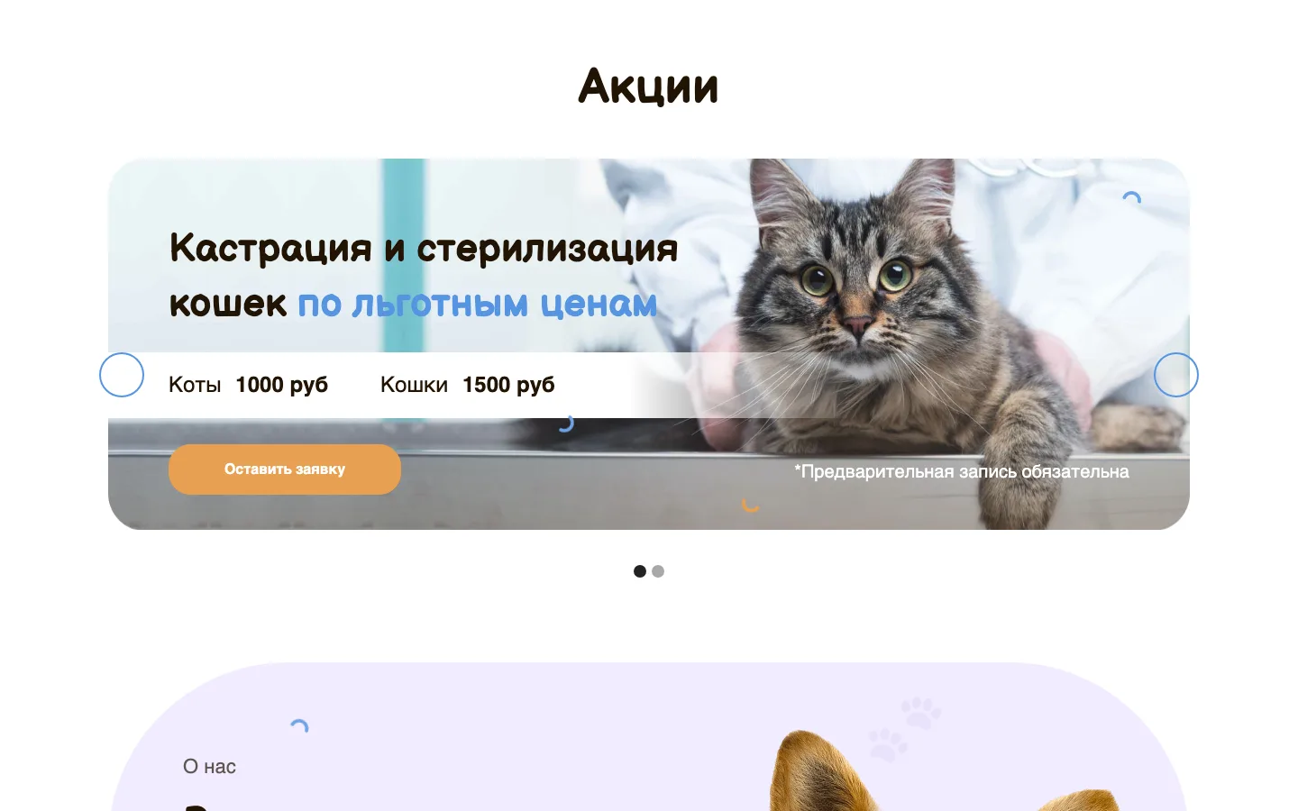 Слайдер акций на лендинге ветклиники «СОВвет»: кастрация и стерилизация кошек по льготным ценам