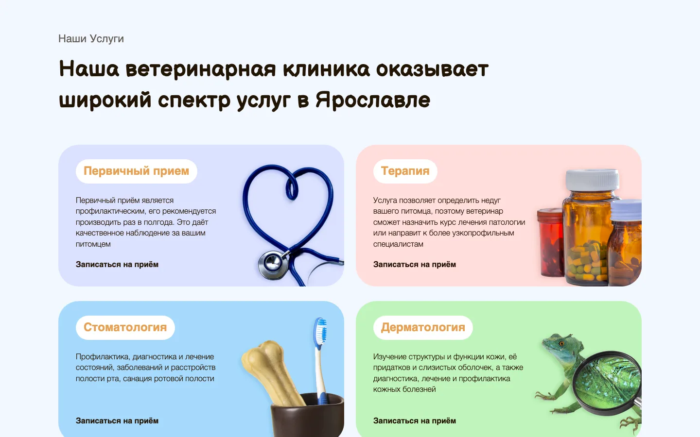 Блок услуг ветеринарной клиники «СОВвет»: первичный приём, терапия, стоматология, дерматология