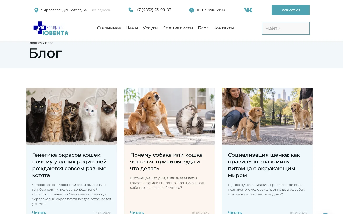 Блог ветеринарной клиники «Ювента» со статьями о здоровье кошек и собак