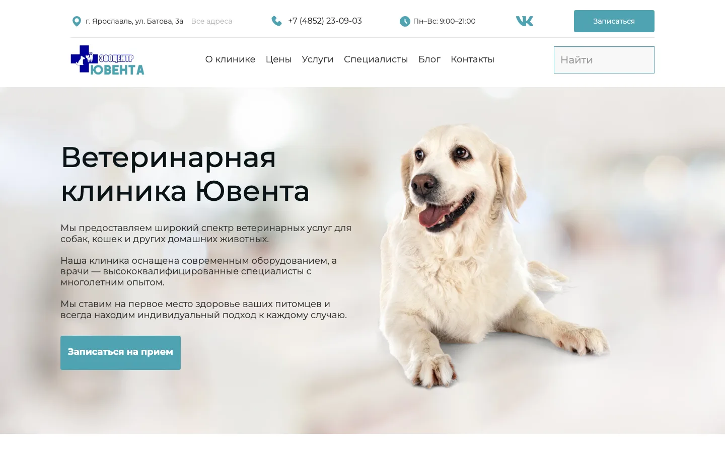 Создание сайта ветеринарной клиники «Ювента» в Ярославле