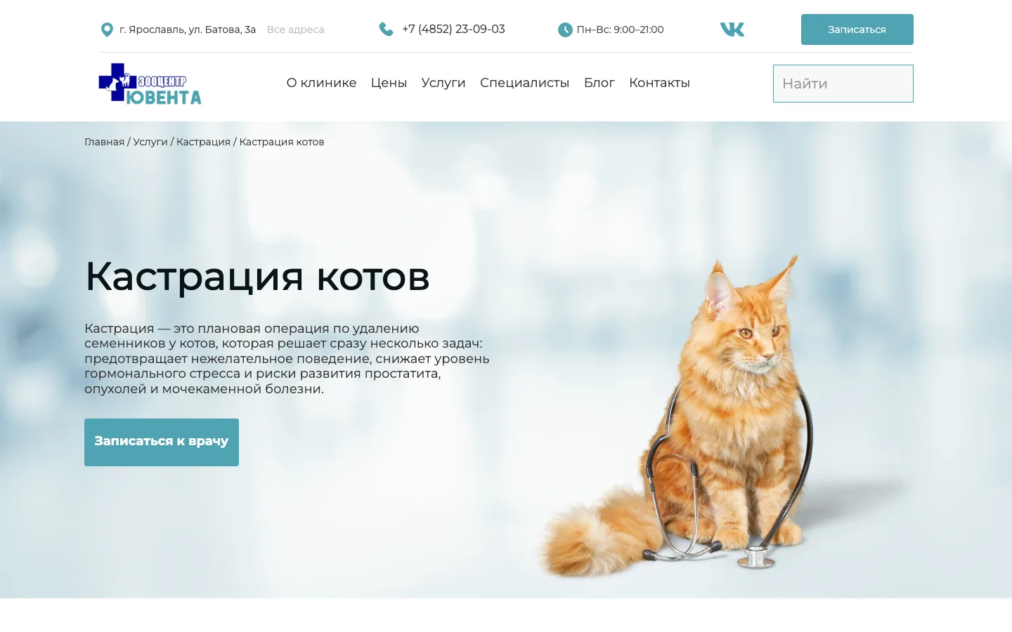 Страница услуги «Кастрация котов» на сайте ветклиники «Ювента»