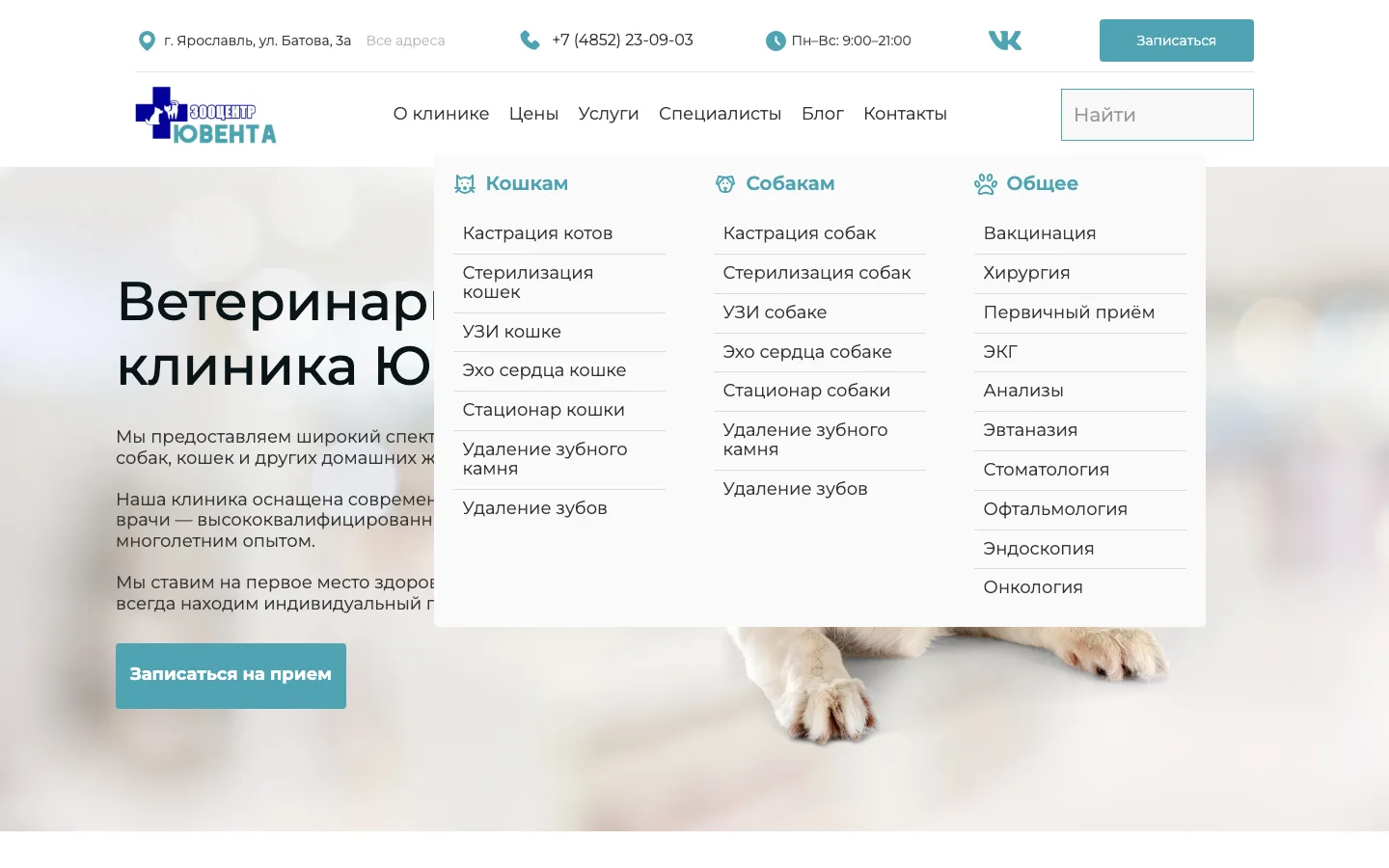 Меню услуг ветклиники «Ювента»: Кошкам, Собакам, Общее