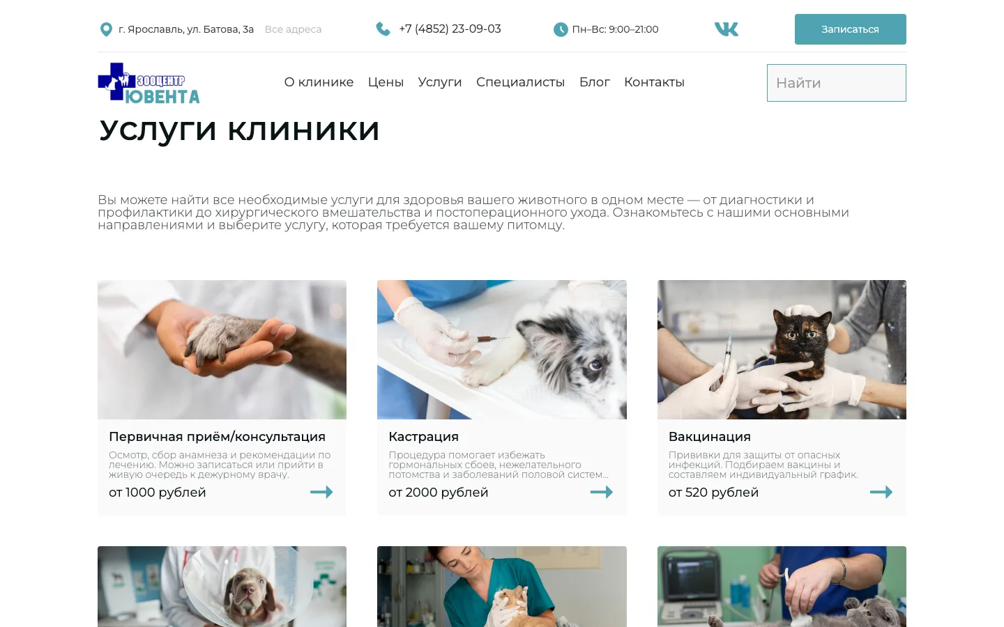 Карточки услуг с ценами на главной странице сайта ветклиники «Ювента»